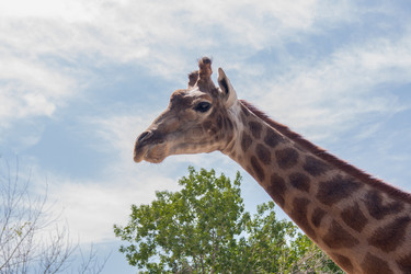 Similar image 20981735