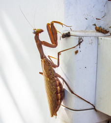 Similar image 20981737