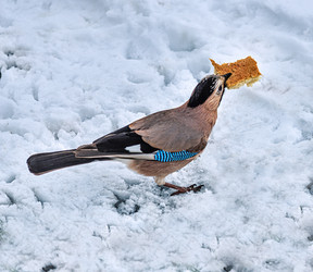 Similar image 20981738