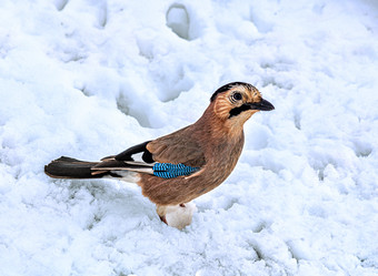 Similar image 20981932