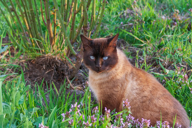 Similar image 20981938