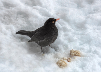 Similar image 20981939