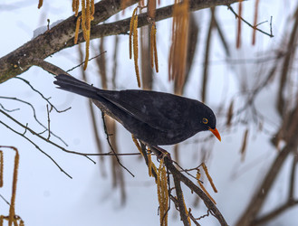 Similar image 20981940