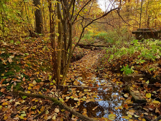 Similar image 20985908