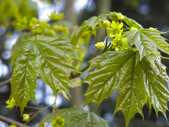 Similar image 20981315