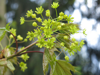 Similar image 20981316