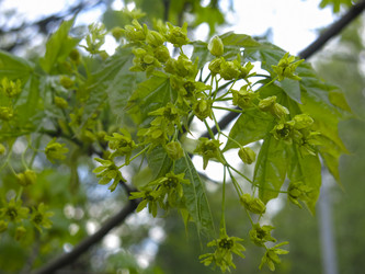 Similar image 20981317