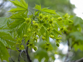 Similar image 20981318