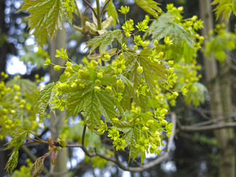 Similar image 20981319