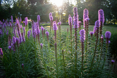 Similar image 20981739