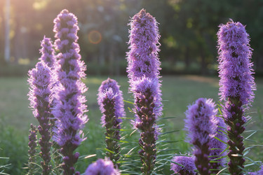 Similar image 20981740