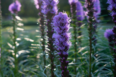 Similar image 20981741