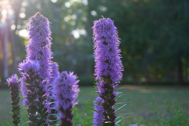 Similar image 20981742