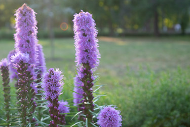 Similar image 20981743