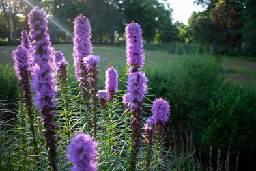 Similar image 20981752