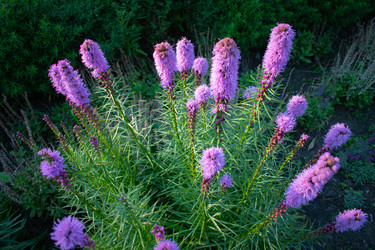 Similar image 20981753