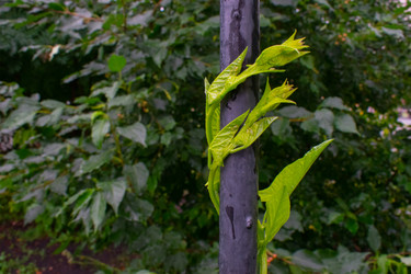 Similar image 20981766