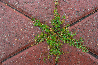 Similar image 20981767