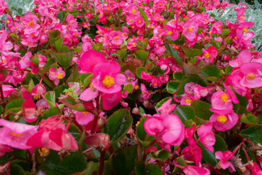 Similar image 20981769