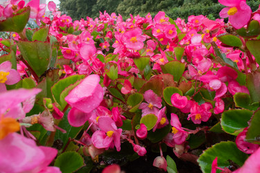 Similar image 20981770