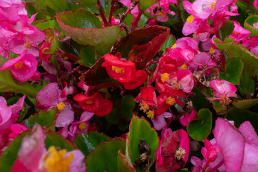 Similar image 20981771