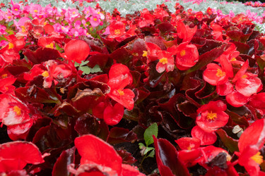 Similar image 20981773