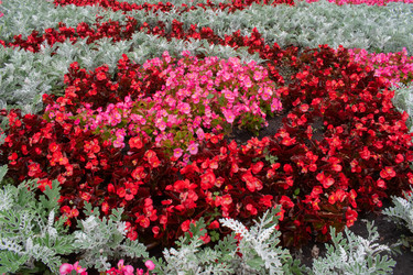 Similar image 20981775