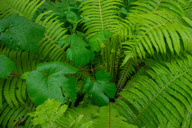 Similar image 20981781