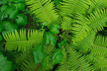 Similar image 20981782