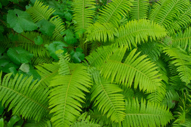 Similar image 20981783