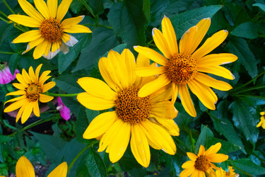 Similar image 20981784