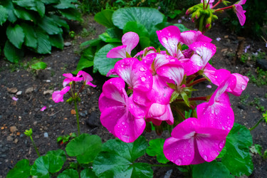 Similar image 20981786