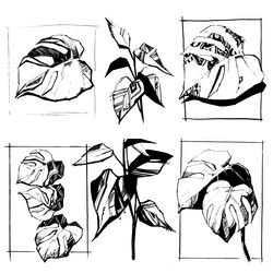 Similar image 20997893