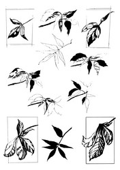 Similar image 21001447