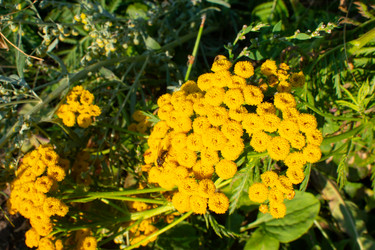 Similar image 20981791