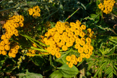 Similar image 20981792