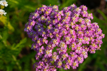 Similar image 20981795