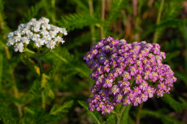 Similar image 20981796