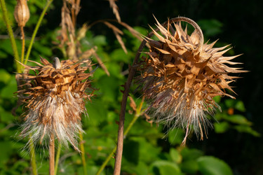 Similar image 20981797