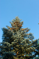 Similar image 20981798