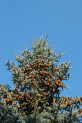 Similar image 20981799