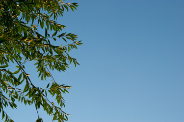 Similar image 20981804