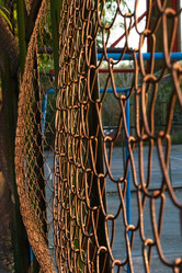 Similar image 20981806