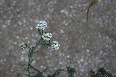 Similar image 20981172