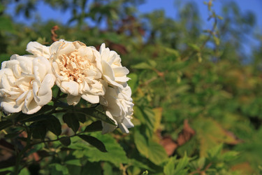 Similar image 20981173