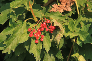 Similar image 20981174