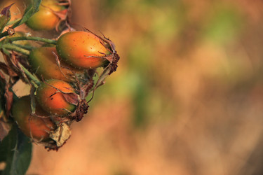 Similar image 20981175