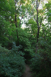 Similar image 20981176