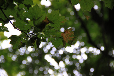 Similar image 20981177