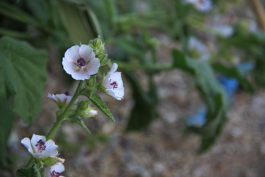 Similar image 20981178